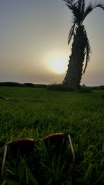 Scenic view of grassy field against sky during sunset