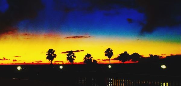 Palm trees at sunset