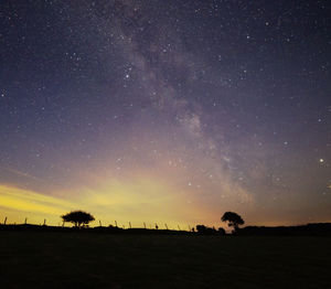 Silhouette trees against sky at night