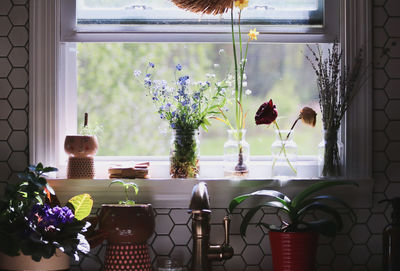 Potted plants on table by window at home
