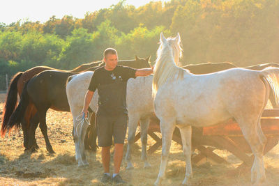 Man standing with horses at ranch
