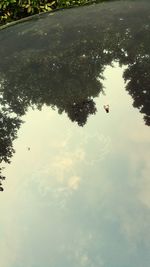 Bird flying over water against sky