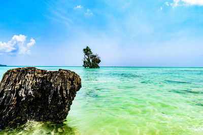 Havelock island, andaman-nicober island, india