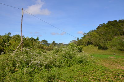 Scenic view of landscape against sky