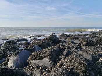 Aerial view of rocks on beach against sky