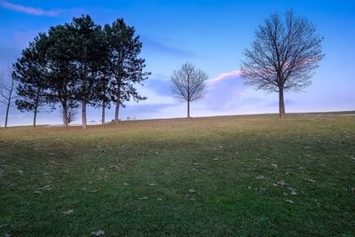 Trees on field against sky