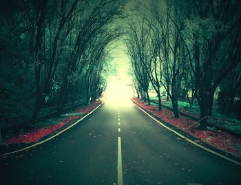 Empty road along trees