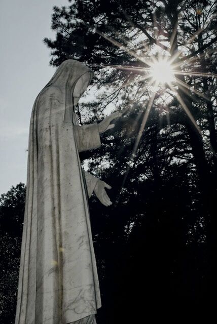 tree, low angle view, sunbeam, sun, sunlight, growth, lens flare, branch, sky, tree trunk, built structure, day, nature, religion, outdoors, building exterior, silhouette, spirituality, statue