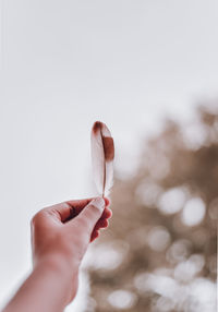 Cropped image of man holding feather against sky