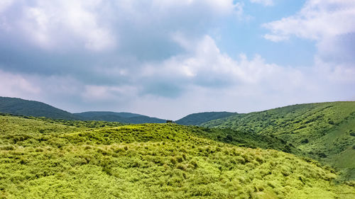 environment