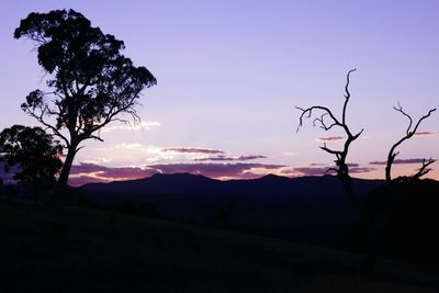 Silhouette tree against sky at sunset