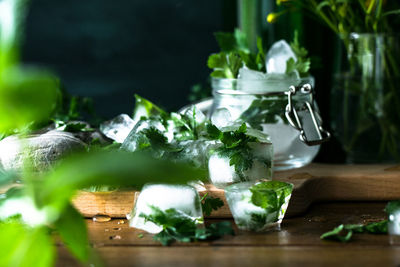 Close-up of frozen herbs on table in kitchen