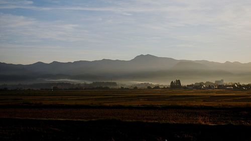 Scenic view of agricultural field against sky during foggy weather