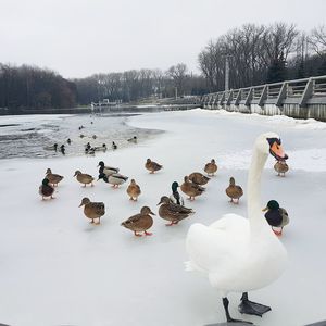 Young woman in water