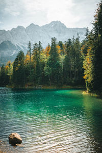 Scenic view of lake in forest against sky