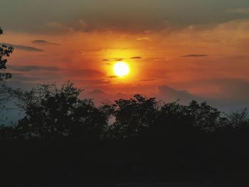 Silhouette trees against sky during sunset