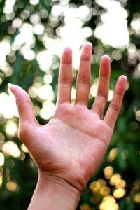 Close-up of hand against trees