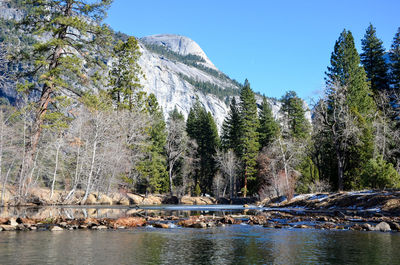 Scenic view of trees by mountains against clear sky