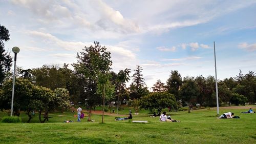 People relaxing on grassy field in park