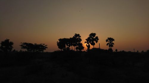 Silhouette trees against clear sky at sunset