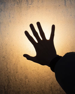 Shadow of person gesturing against wall during sunset