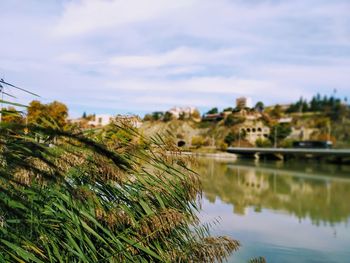 Scenic view of river by trees against sky