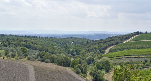 Scenic view of road amidst trees against sky