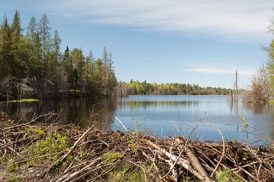 Scenic view of lake against sky