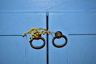 Close-up of closed door