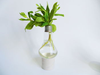 Close-up of glass bottle on table against white background