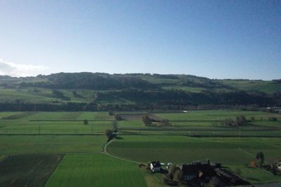Scenic view of agricultural field against sky