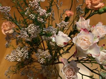 Close-up of flowers