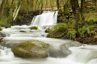 Waterfall in forest