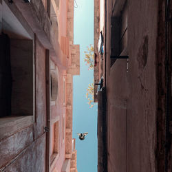 Narrow alley amidst buildings in city