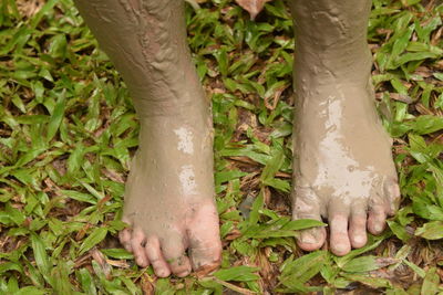 Low section of person wearing shoes on field