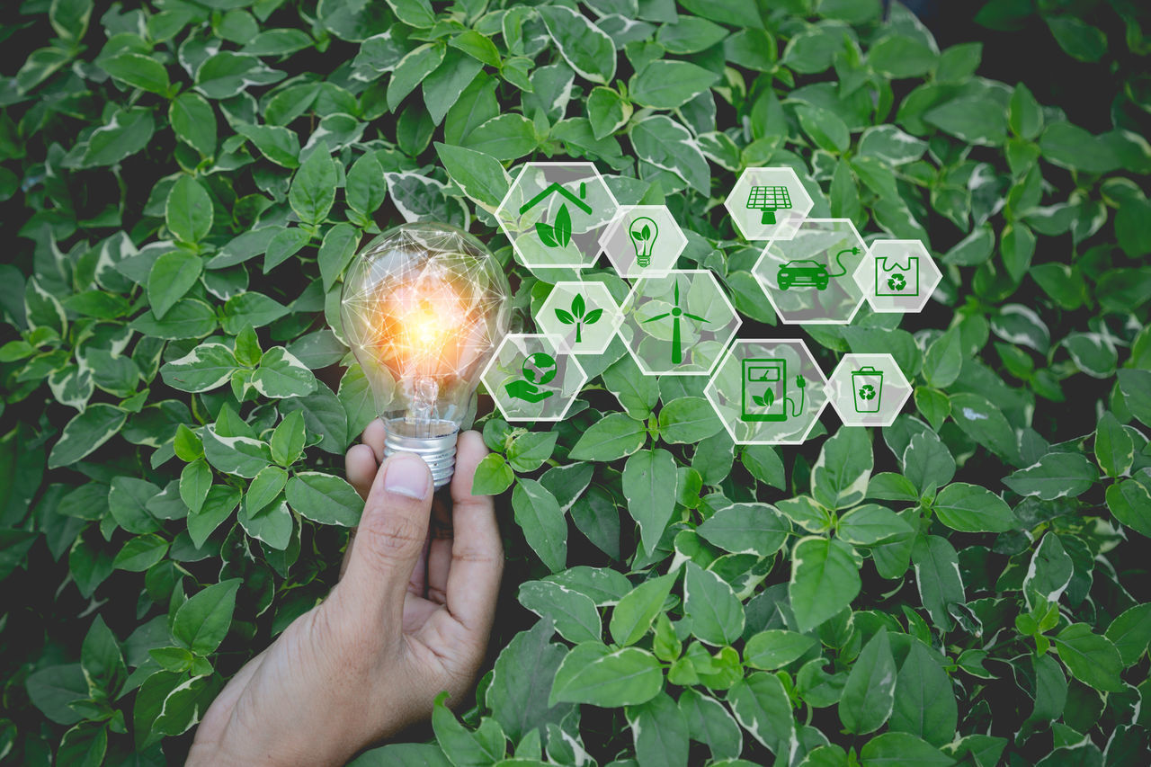 MIDSECTION OF PERSON HOLDING GREEN PLANTS