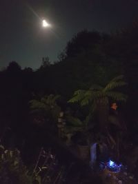 Scenic view of trees against sky at night