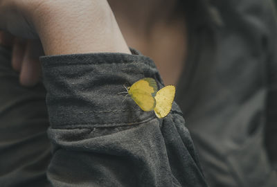 Close-up of hand holding yellow flower