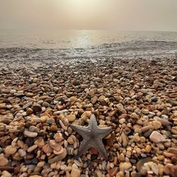 Pebbles on beach against sky