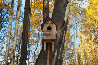 Low angle view of birdhouse in forest