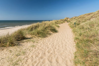 Scenic view of beach against clear blue sky