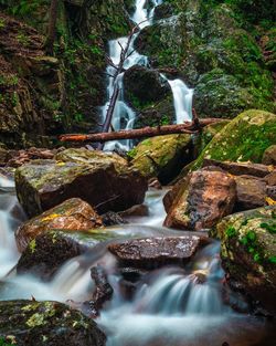 Stream flowing through rocks in forest