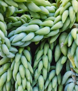 Full frame shot of vegetables for sale at market stall