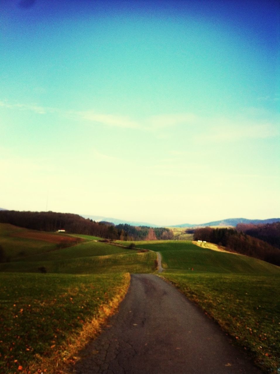 the way forward, road, diminishing perspective, landscape, tranquil scene, sky, tranquility, vanishing point, country road, grass, blue, field, transportation, scenics, nature, beauty in nature, empty, empty road, long, dirt road