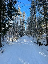 snow