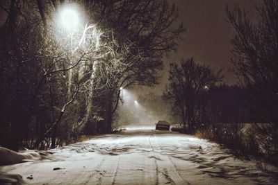 Road amidst trees during winter at night