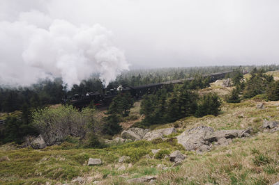 Steam train on field against sky