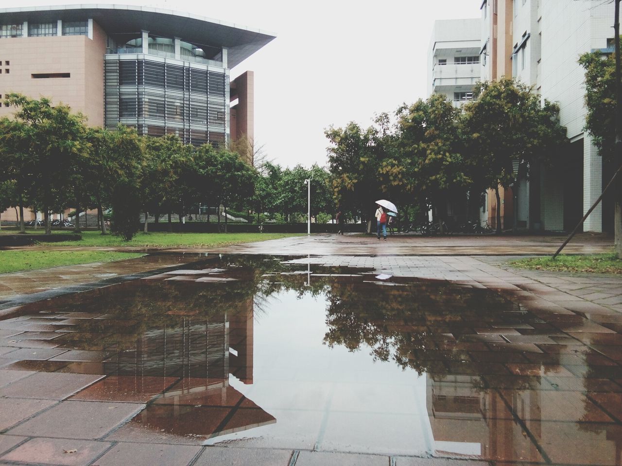 building exterior, architecture, built structure, tree, water, city, building, reflection, day, one person, residential building, plant, outdoors, footpath, house, grass, residential structure, street, growth, pond