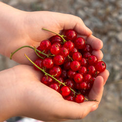 Close-up of hand holding strawberries