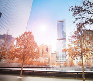 Trees and modern buildings against sky